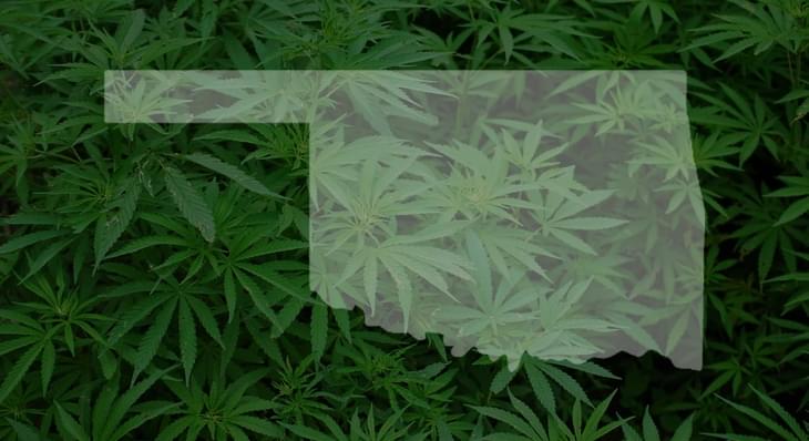 OKC School Board approves medical marijuana use