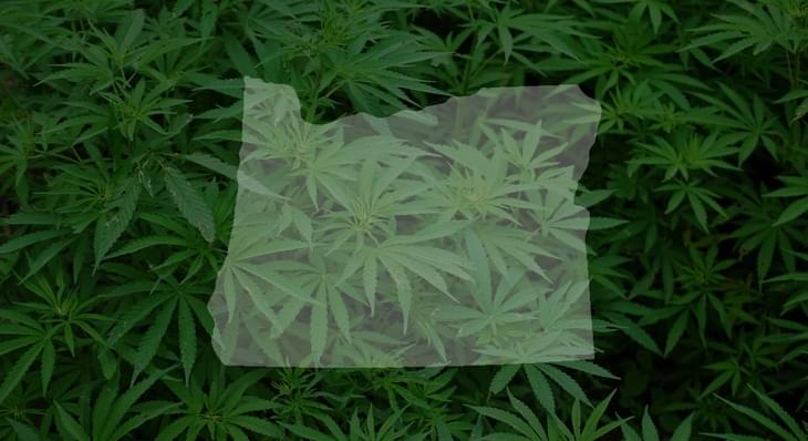 Oregon to pause accepting marijuana license applications