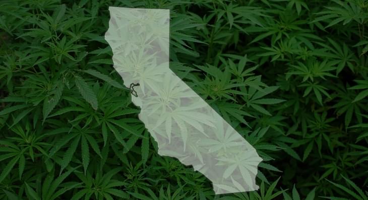 Over 8,000 marijuana convictions in San Francisco dismissed with help from a computer algorithm