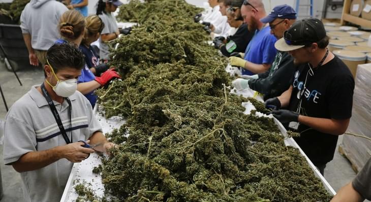 People in the US and Canada spent over $53 billion on marijuana in 2016