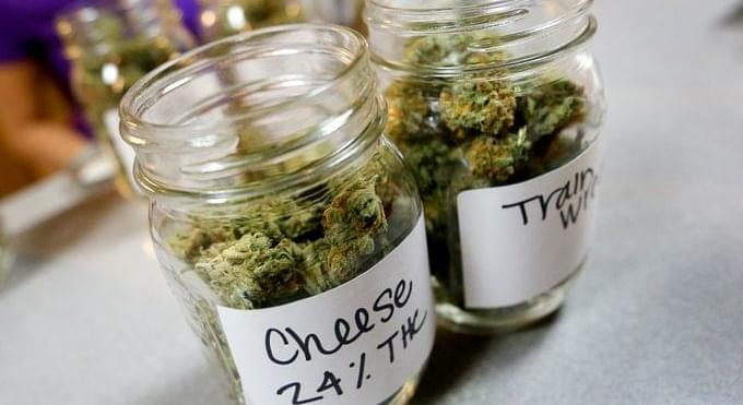 Retail marijuana sales begin in Salem