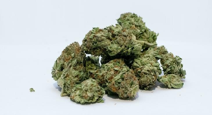 San Jose churches offer marijuana to members, feature pot-smoking Jesus in ads