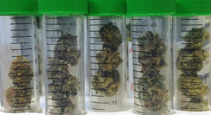 State's first marijuana store could open this week as testing begins in Anchorage