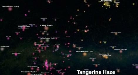 The 3D interactive marijuana 'Galaxy' researchers hope to use to create superstrains of the drug
