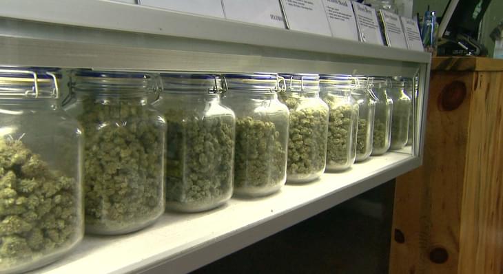 The First Massachusetts Medical Marijuana Dispensary Hopes to Open This Spring