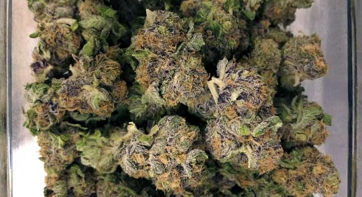 THE SCIENCE OF MARIJUANA: RESEARCHERS IDENTIFY HOW POT GETS ITS TASTE