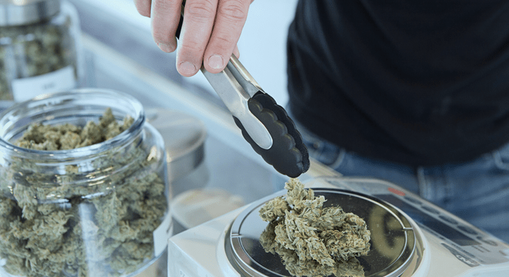 Top 7 Tasty OG Kush Strains to Get High With