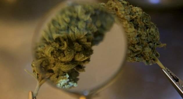 UK Recognizes Marijuana Extract As Medicine