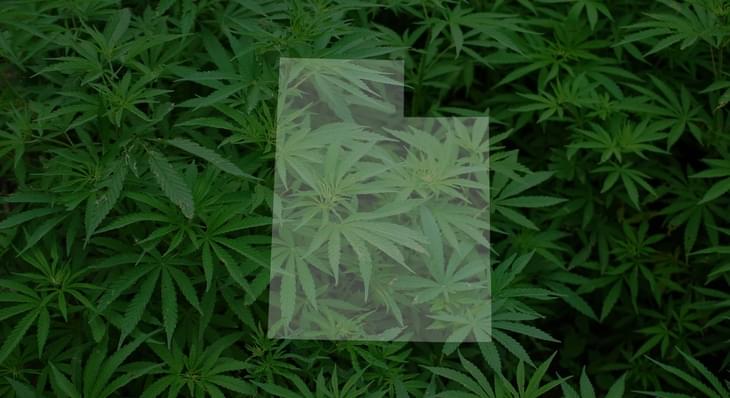 University of Utah launches $740,000 study on how marijuana interacts with the human brain — and why it affects some people differently