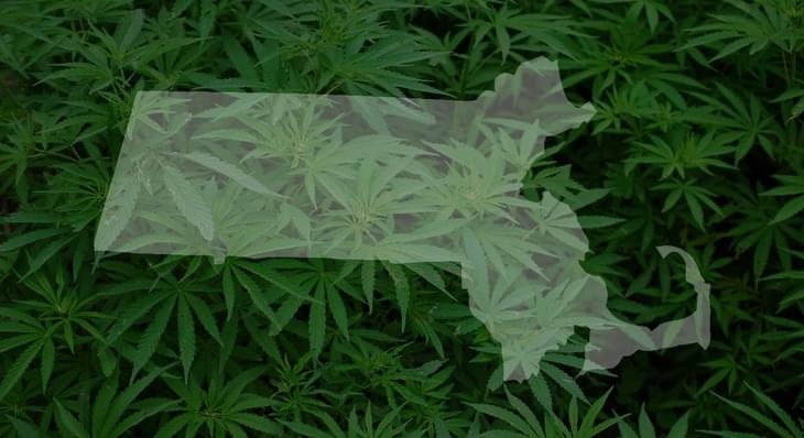 Wareham Pot Shop To Open For Recreational Marijuana Sales On Tuesday