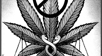 Washington State to Stir Up Marijuana Laws