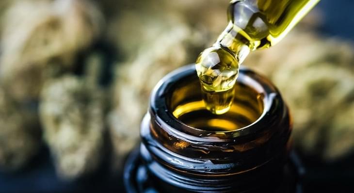 What is CBG? A Cannabinoid You Should Know