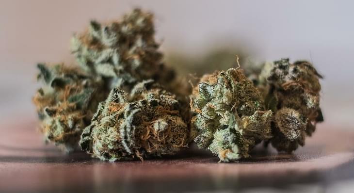 What is Shake & is it Good to Smoke?