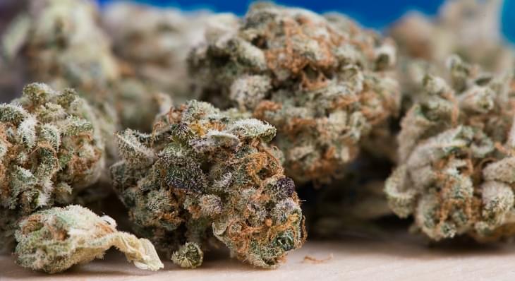What To Do With Leftover Marijuana Stems