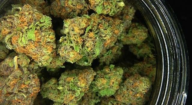 Will Minnesota's restrictive medical marijuana program loosen up?