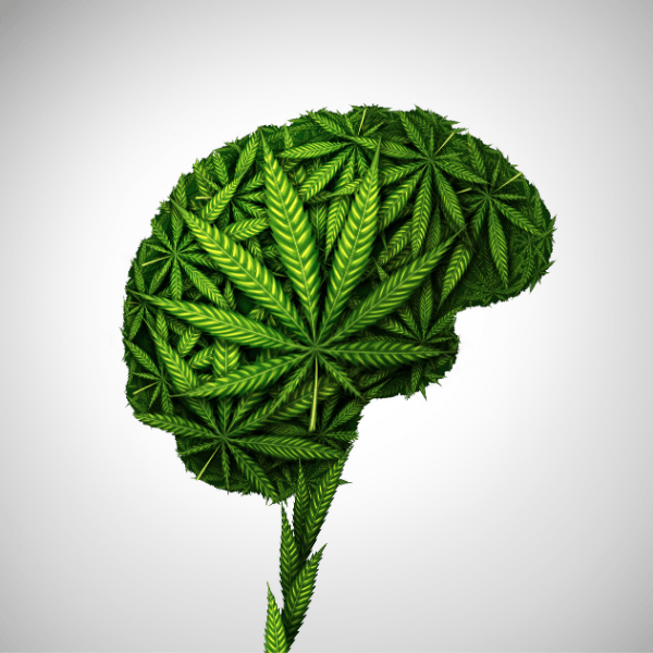 What is THCV? Spotlight on Cannabinoids | Education - Where's Weed 