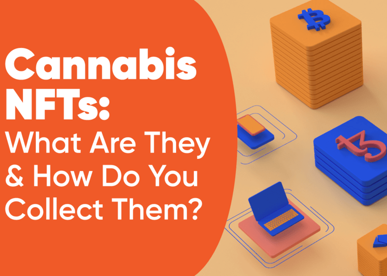 Cannabis NFTs: What Are They &amp; How Do You Collect Them?