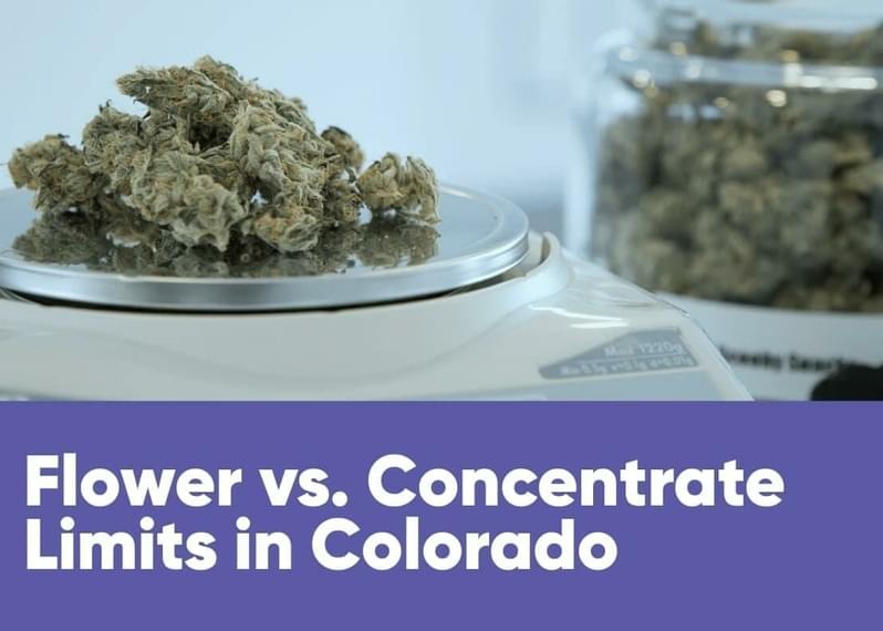 Flower vs. Concentrate Limits in Colorado: Everything You Need to Know