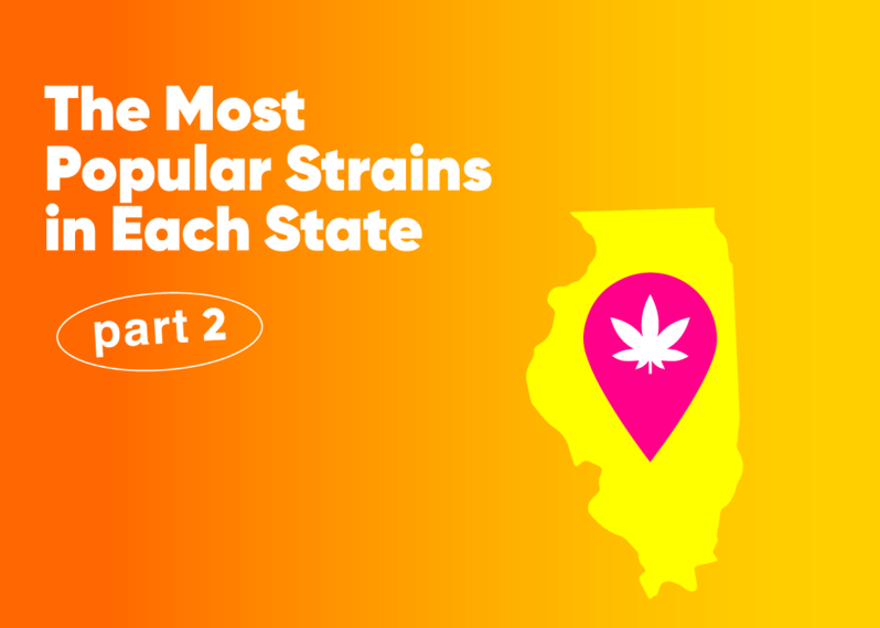The Most Popular Strains in Each State: Part 2