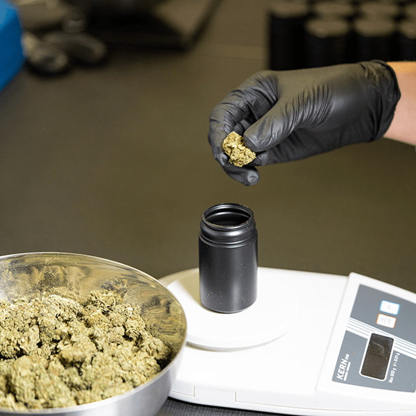 How to Make Slow Cooker Cannabutter Marijuana Recipes Recipes