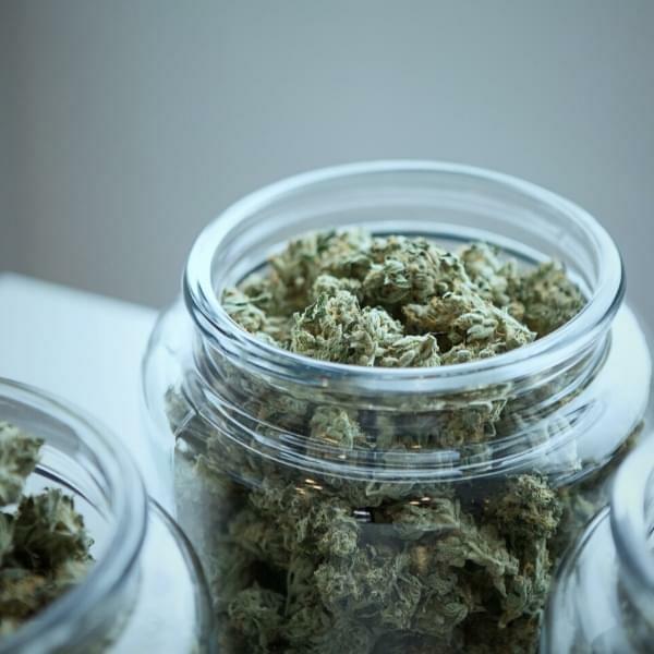 Storing Cannabis: 5 Tips to Keep Weed Fresh | Education - Where's Weed Blog