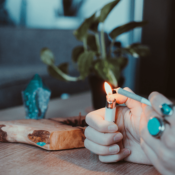 Top 7 Board Games to Play While High Culture Where's Weed Blog