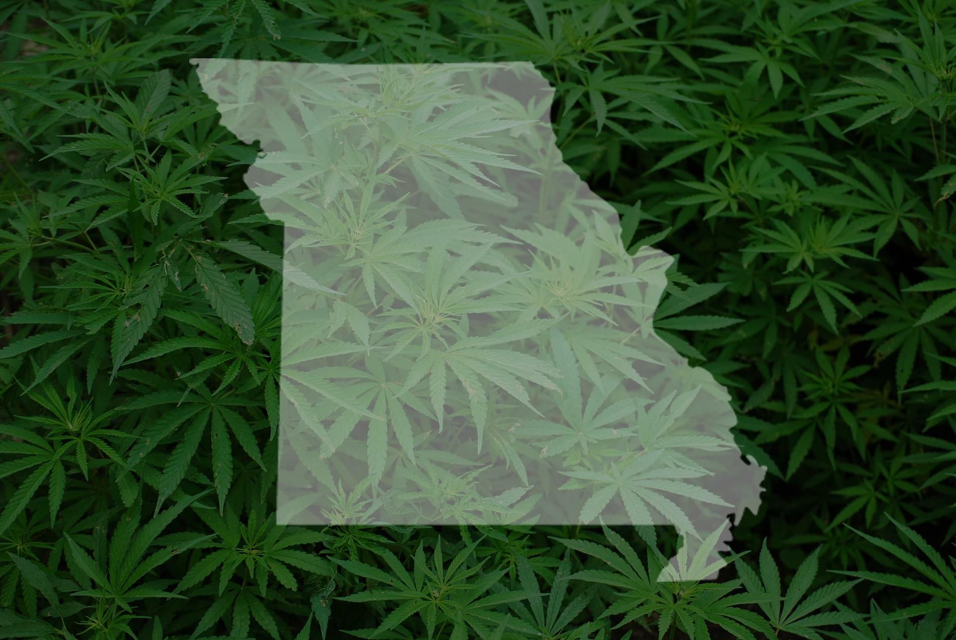 Attempts to Legalize Marijuana in Missouri
