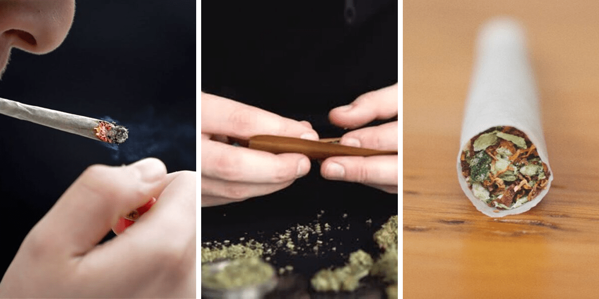 What is the Difference Between Joints, Blunts and Spliffs? Education