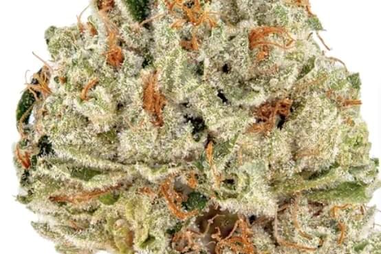 $550 🔥 5oz A+ with free  3oz shake