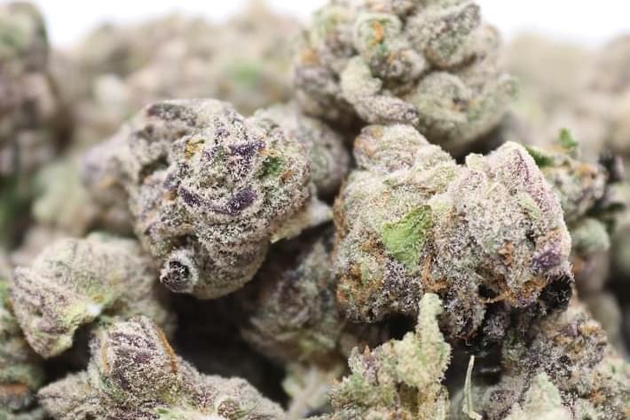 $100 for 2 quarter exotics & 2 free prerolls