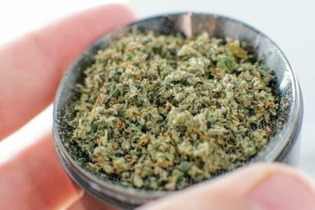 8 Oz Designer Shake Only for 350 - Free Deliv