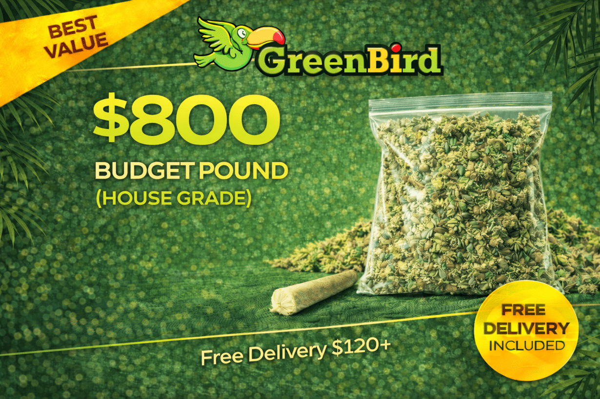 Budget Pound (House Grade) – $800 | DC Valu