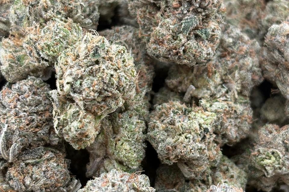 $380- 4  D/T HALFS AAA+ & 2 Oz SHAKE