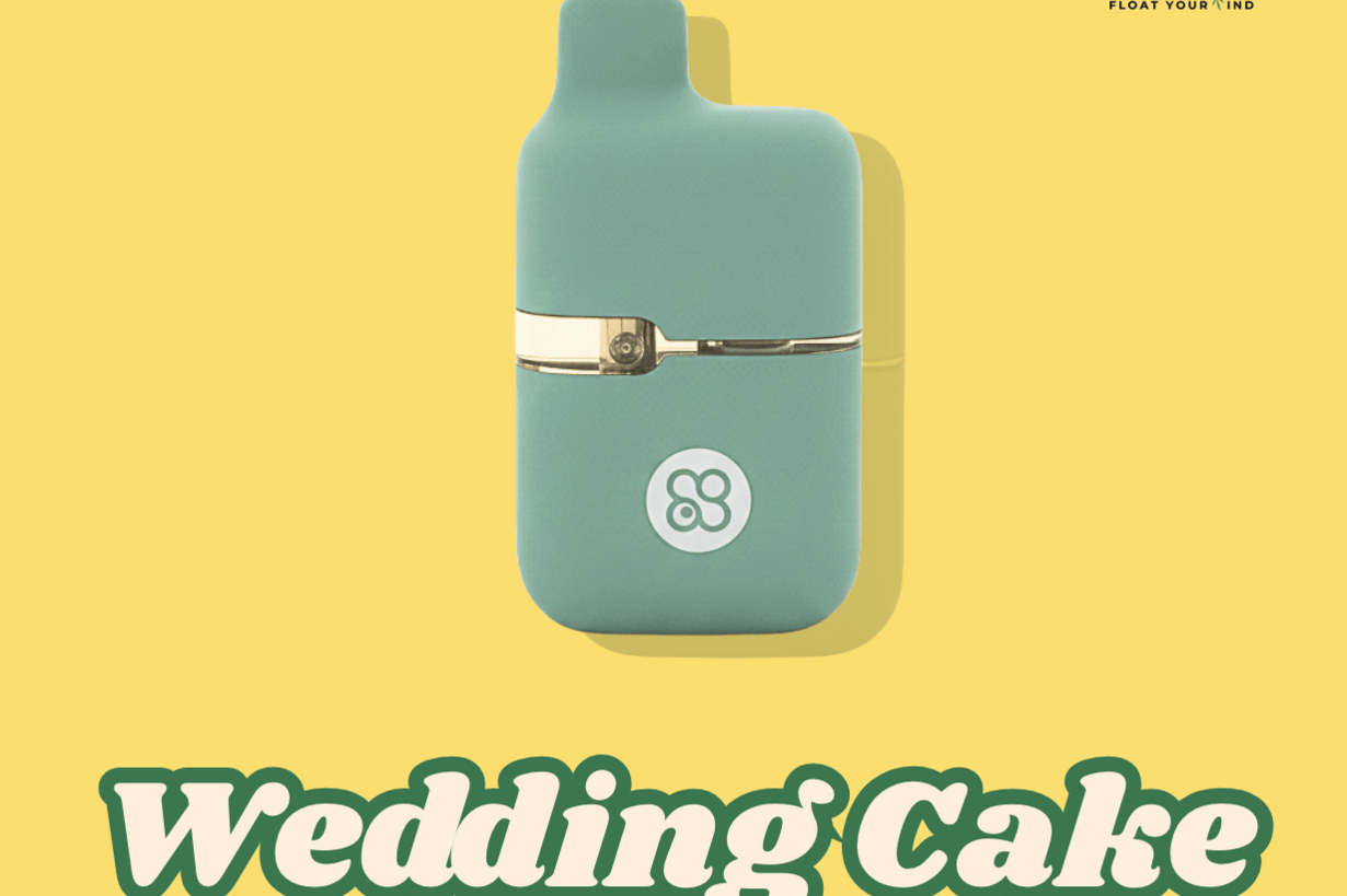 🔥 4 New Flavors 1g Vape| Best Seller