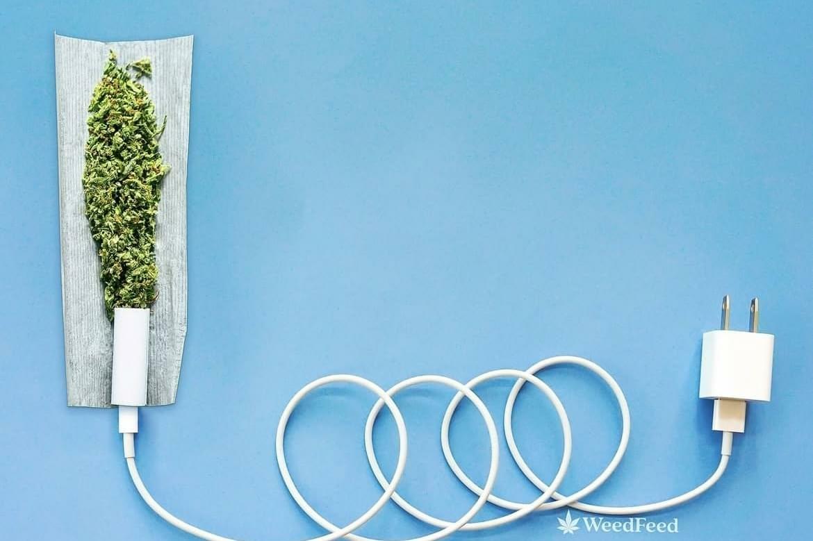 3 Different Quarters (1/4 Oz x 3) - AAA strai