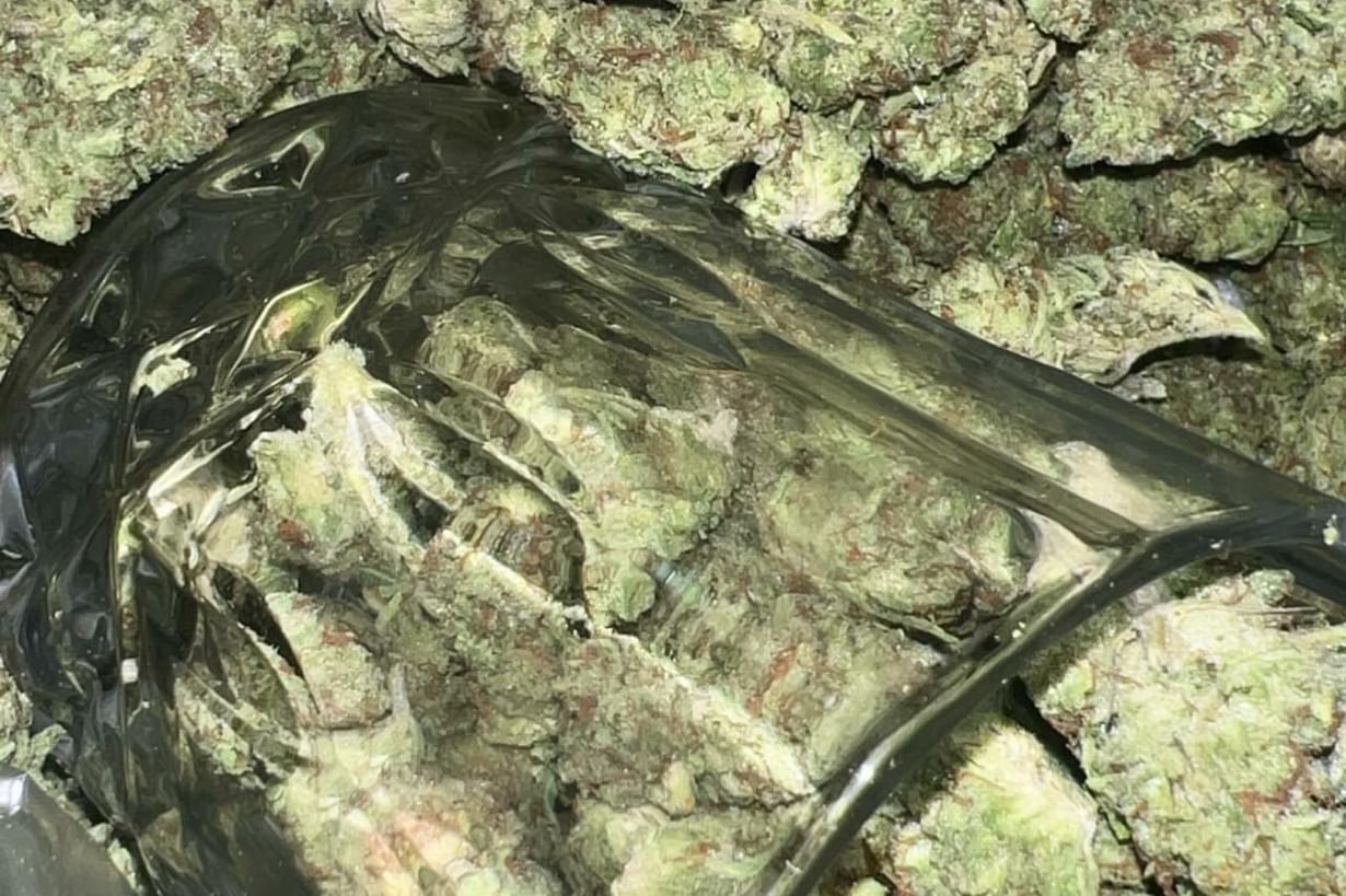 4 Oz gelato premium and 2 Oz shake $280.