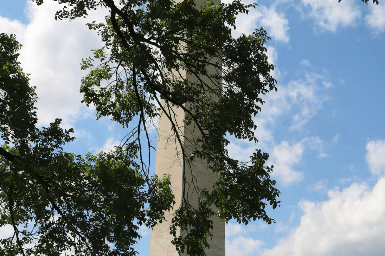 8 Oz - AAA+ flowers  🔥⛽  + 3 Oz Shake
