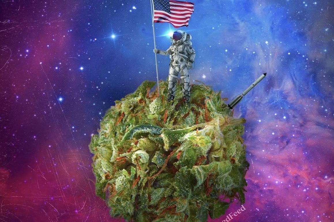 - 1 Oz Designer Indoor + 1 Oz Shake  + 10 Pre