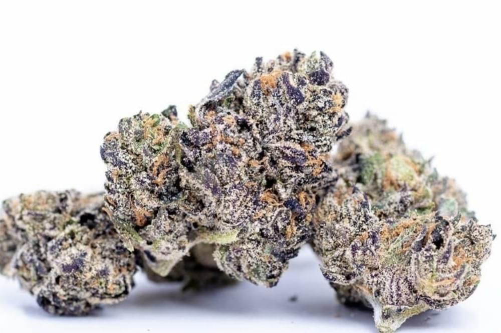 $240 3 DIFFERENT HALF OZ  AAA + half shake