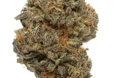 $220 For 3 halves of A+ FREE Delivery