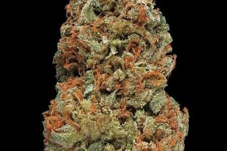 $80 For 2 Quarters A+ & 2 Prerolls Gift