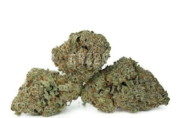 - 5 OZ TOP SHELF - MIX&MATCH + Oz SHAKE