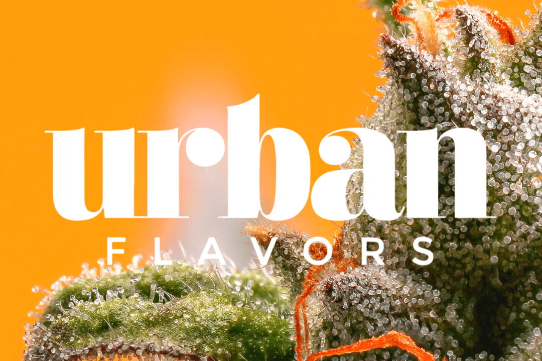 - 4 Oz Mega Gift - 3 Oz Top shelf + 1 Oz Exot