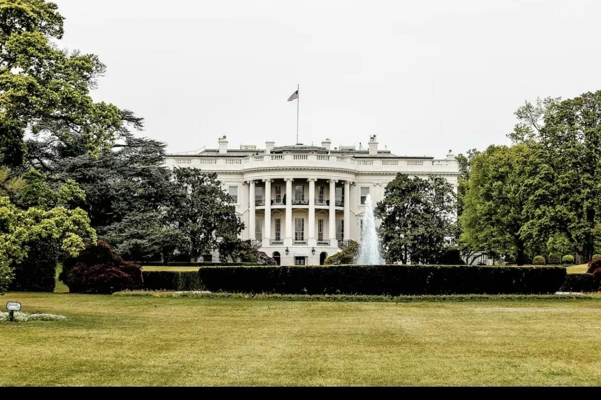 TOP SHELF - 2 Oz - $160 - DC weed delivery