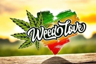 - 3 x 1/2 Oz -  Mix & Match strains