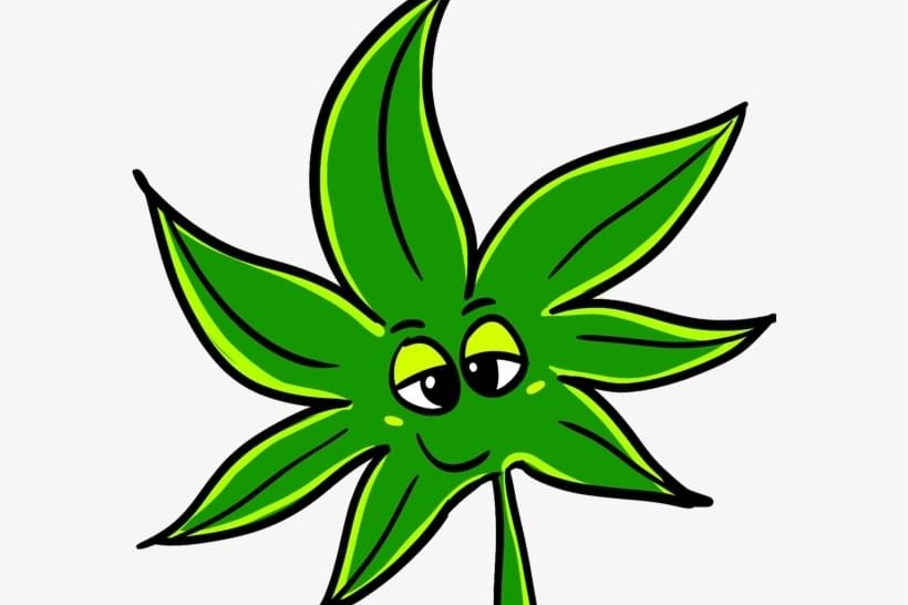 $370=10 edible gummy + 10 carts 🔥free 🚚