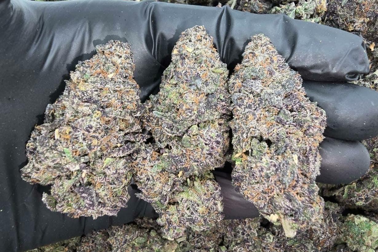 $640 4oz AAA INDOOR EXOTIC ⛽️+ 2oz shake