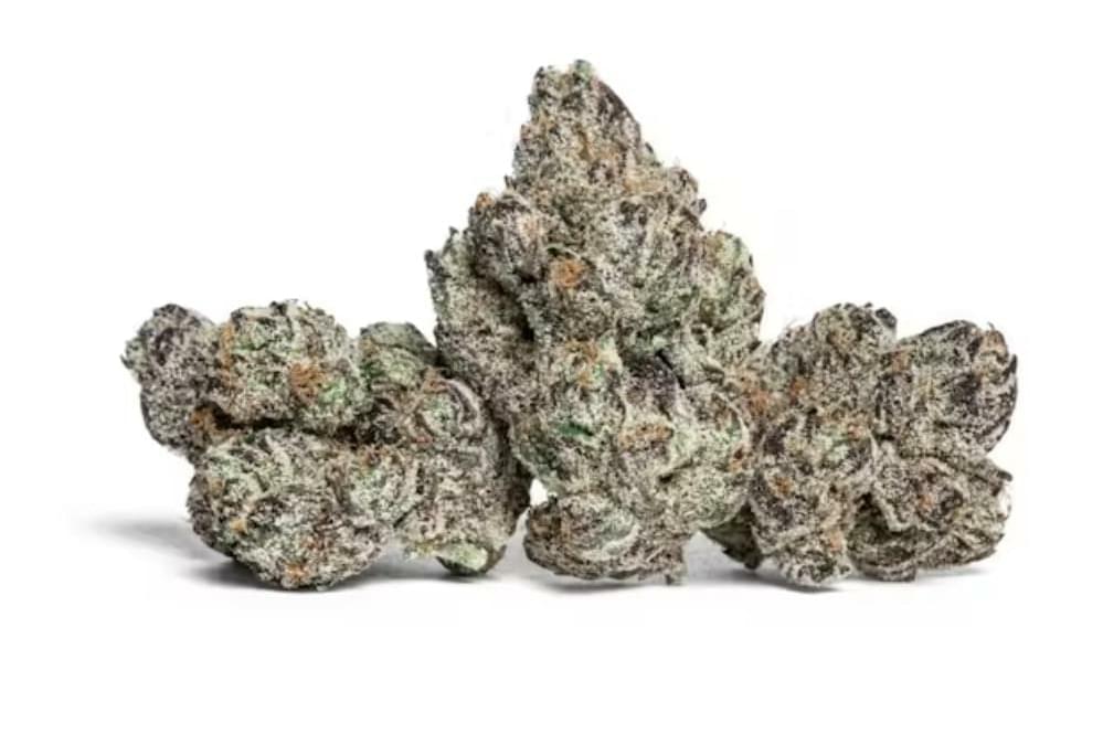 - 2 Exotic quarters + 5 Infused Pre-roles