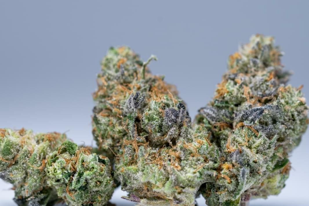 $240 for 2oz A+ 🌲 with 1/2 shake