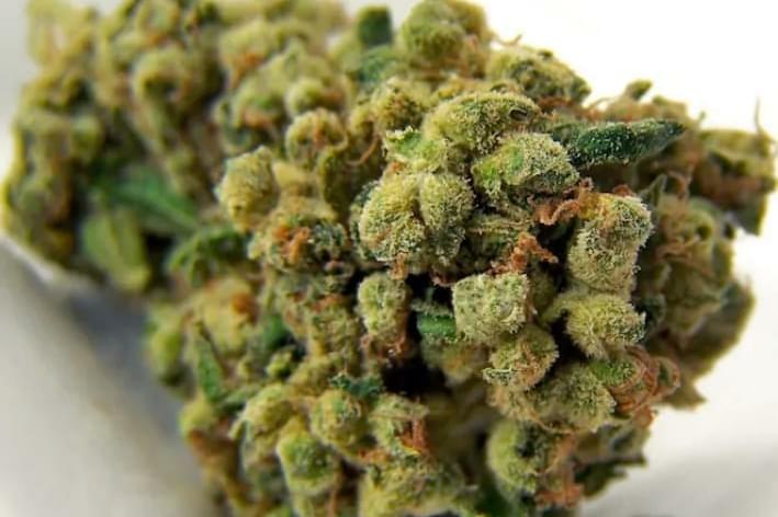 $540 for 6oz top shelf +FREE  2 oz shake